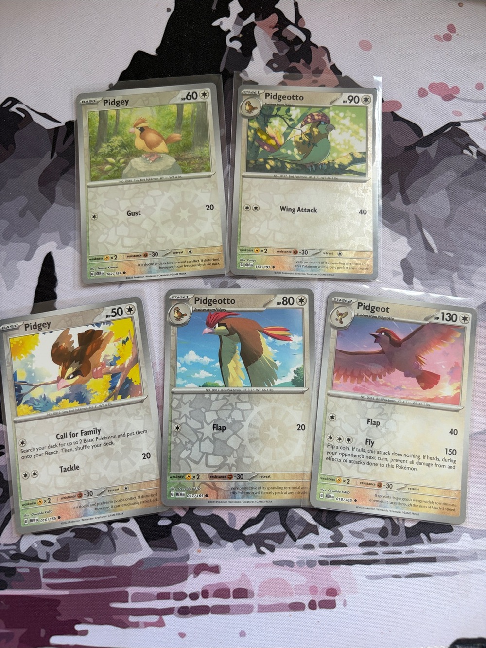 Pidgey, Pidgeotto & Pidgeot Evolution Lot | 5 Cards | Reverse Holo | ✨5/$25✨